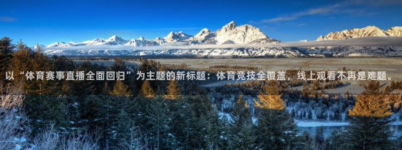 松鼠体育