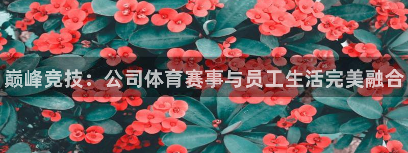 利记官网下载招商电话号码是多少啊:巅峰竞技:公司体育赛事与员