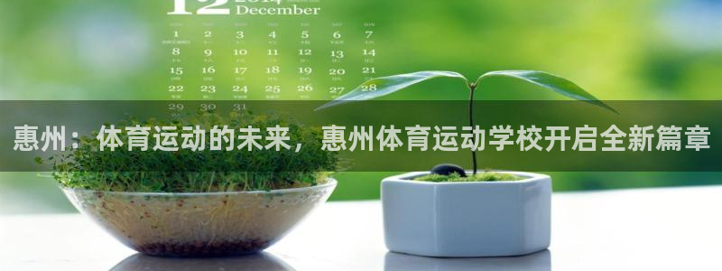 利记官网下载平台注册流程视频:惠州:体育运动的未来,惠州体育